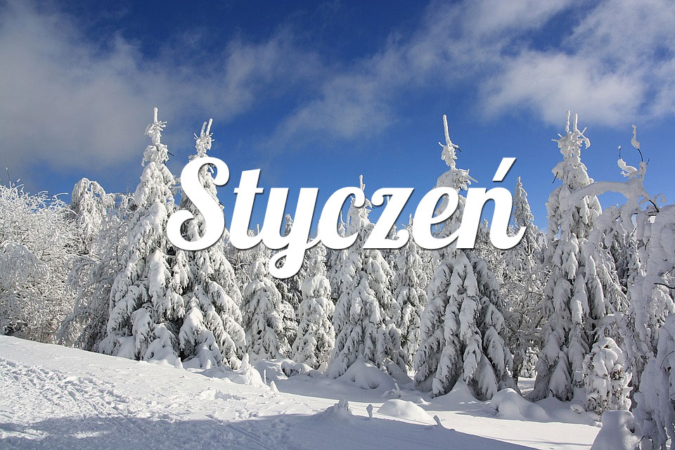 Ryby Styczeń 2026