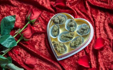 6 chocolate weed strains worth trying this valentines day