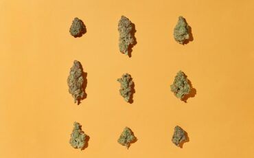 8 delicious peanut butter weed strains