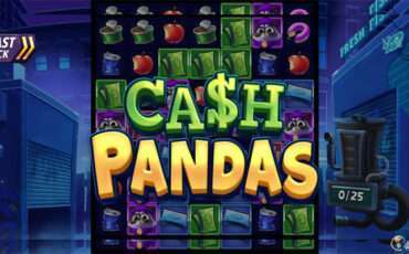 join trash pandas on their heist in slotmills new slot cash pandas