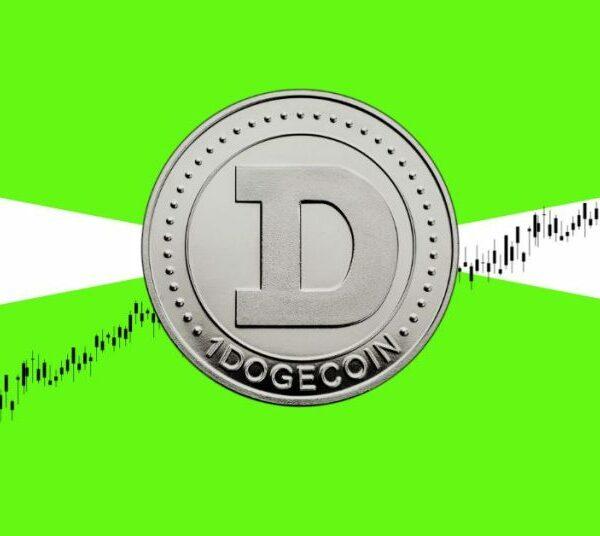 ‘Dogecoin May Not Be the Best Performing Assets’ Says an Analyst, Will DOGE Price Miss the Boat?