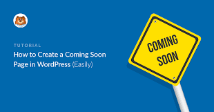 How To Create Coming Soon Page In WordPress?