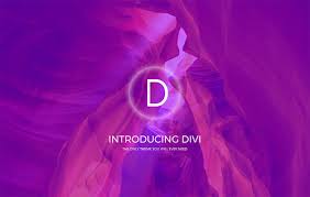 Is Divi theme useful?